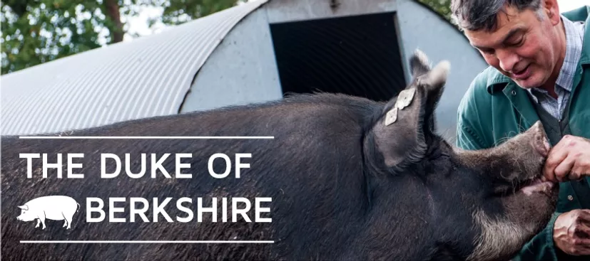 Nachhaltiges Schweinefleiisch